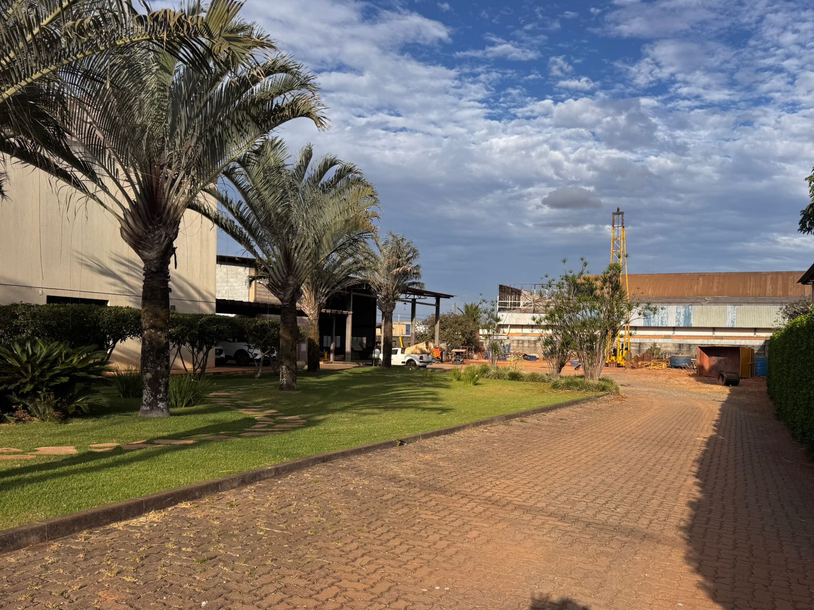 Pátio e palmeiras